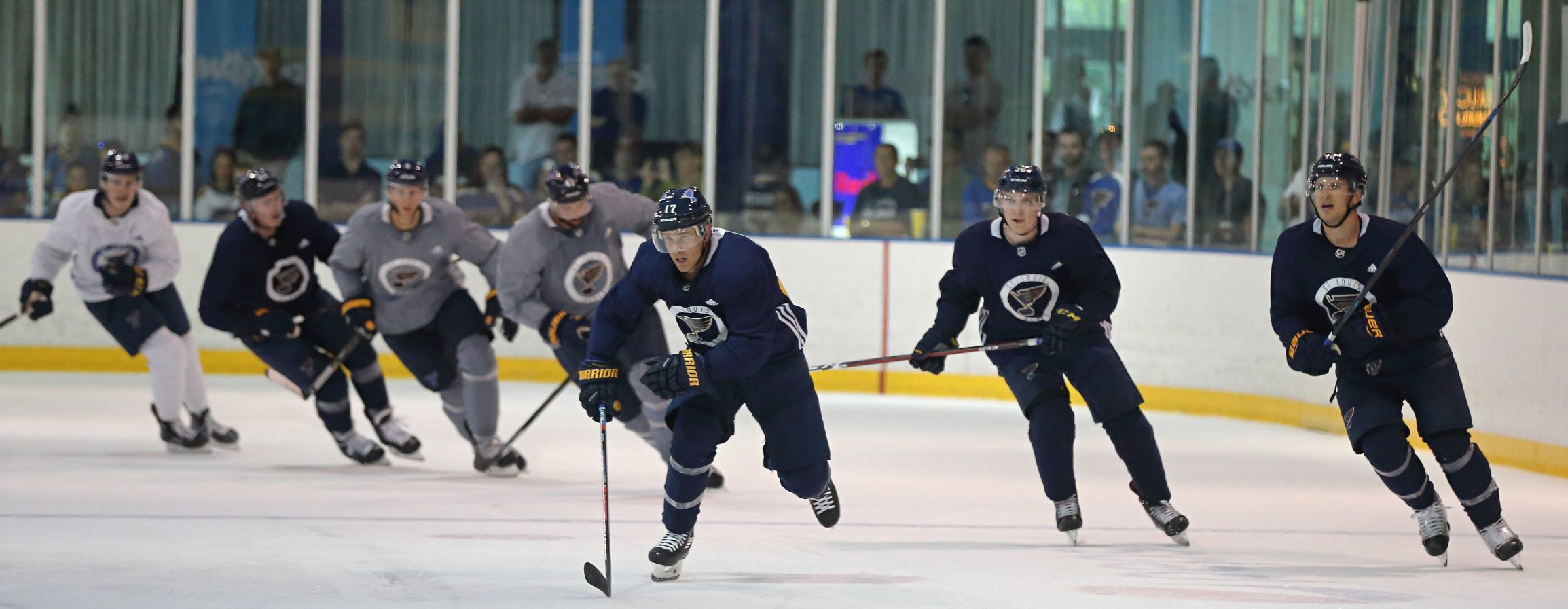 St. Louis Blues 2018-19 training camp